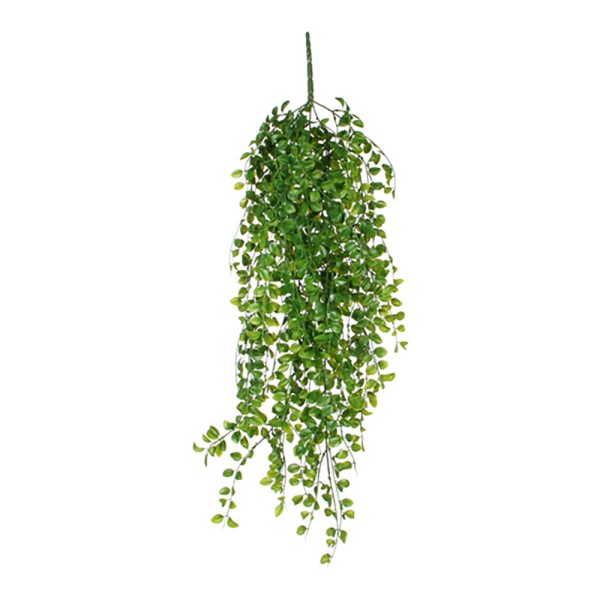 Maceta colgante de ficus verde, 81 cm
